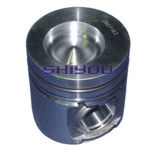 Cummins Engine Parts 3923163 6CT