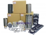 Mitsubishi Engine Part Liner Kit