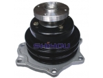 HITACHI EX60-2-3 BD30 WATER PUMP