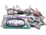 Komatsu Engine Parts 6151-K1-3000 6151-K2-3000